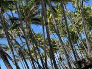 IMPORTANT MESSAGE This property is not currently available for holiday letting