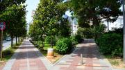 Top Tivat
