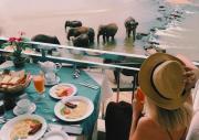 Hotel Elephant Park - Most Elephant Bathing View Rooms in Pinnawala
