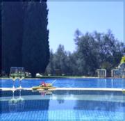 Top Montalto di Castro