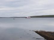 Top Orkney