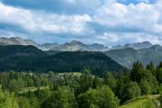 Top Zakopane