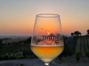 Top Arcos de la Frontera