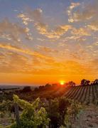 Top Arcos de la Frontera