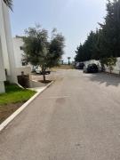 Top Bizerta