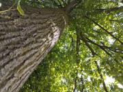 Top Krajno Pierwsze Top Krajno Pierwsze