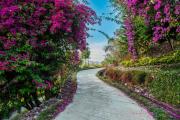 Tree of Life Resort Dehradun Foothills