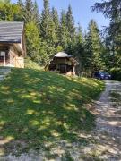 Top Bohinj