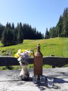 Top Bohinj