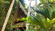 Top Tarapoto