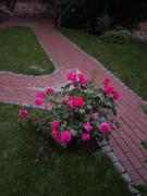 Top Schwerin Top Schwerin