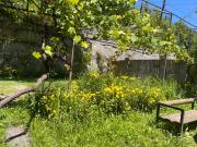 Borjomi Makvalas Guest House