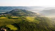 Top Motovun
