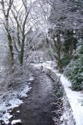 Top Eskdale