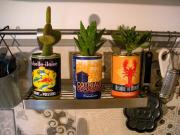 Top Calamandrana Top Calamandrana