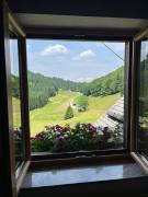 Apartment Hochsteinalm