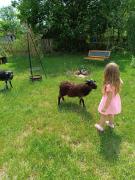 Gospodarstwo Agroturystyczne na Mazurach