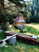 Domaćinstvo Pešića