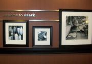 Top Ozark