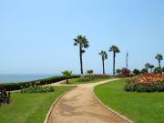 Top Lima