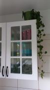 Top Tychy