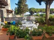 Top Cecina