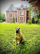 Domaine de la Croix de Saint Lambert