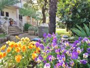 Top Rovinj Top Rovinj