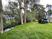 Yarumo Camper Trailer