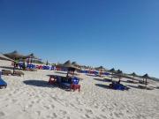 شاليه للعائلات غرفة وريسيبشن بمنتجع ريتال فيو الساحل الشمالى