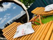 Ferienhaus Harzblick