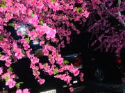 กอบสุข รีสอร์ท2 k04