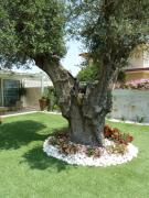 Top Castellaneta Marina Top Castellaneta Marina