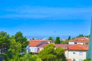 Panorama Punta