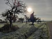Badischer Neubau-Ruhe-Kunst-Natur