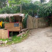 Hostería Mar e iguana