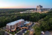 Top Stony Brook