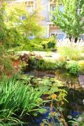 Top Ukiah