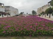Top Playas de Vera