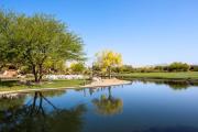 Top Scottsdale
