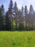 Top Tuchów Top Tuchów