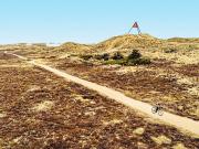 Top Hvide Sande