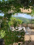 Il Cenacolo Di Sissi