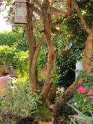 Top Campagnano di Roma