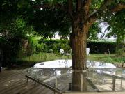 Top Noisy-sur-École