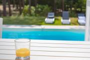 villa piscine chauffée 10pers dans cadre exceptionnel-AG19