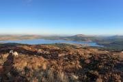 Top Dalry