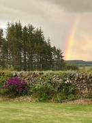 Top Dalry