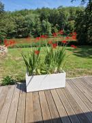 Top Mareuil-sur-Cher