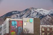 Top Ogden